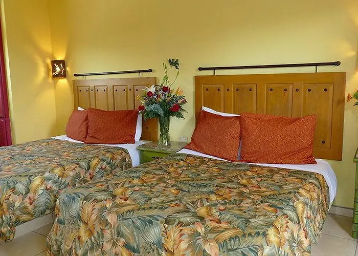 Siesta Boutique 2* Cabo San Lucas